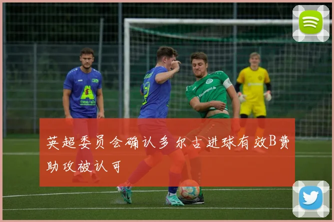 英超委员会确认多尔古进球有效B费助攻被认可
