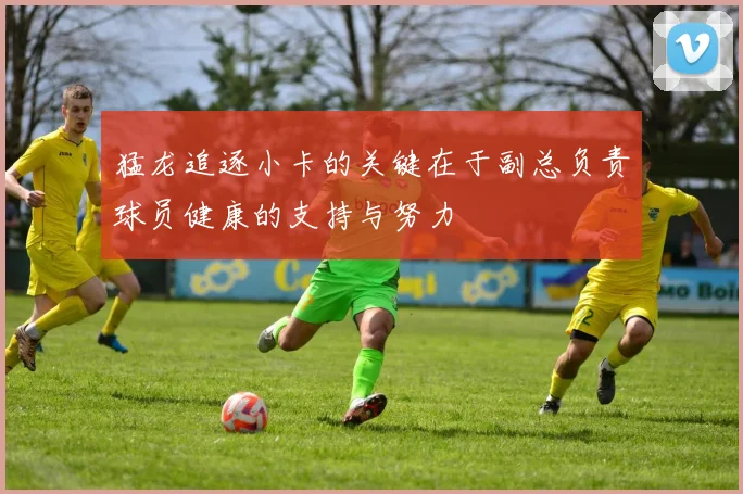 猛龙追逐小卡的关键在于副总负责球员健康的支持与努力