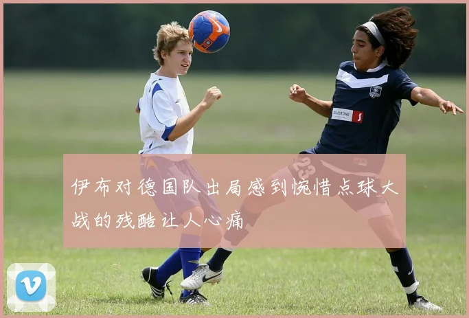 伊布对德国队出局感到惋惜点球大战的残酷让人心痛